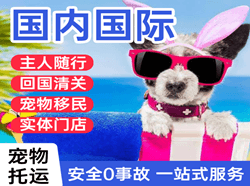 攀枝花保安营国际宠物托运 【国